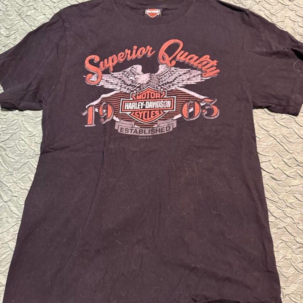 Harley-davidson Men's Black and Grey T-shirt